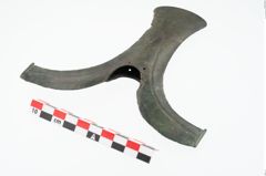 Foto von Bronzeflügelortband (NHMW-PRAE-024622)